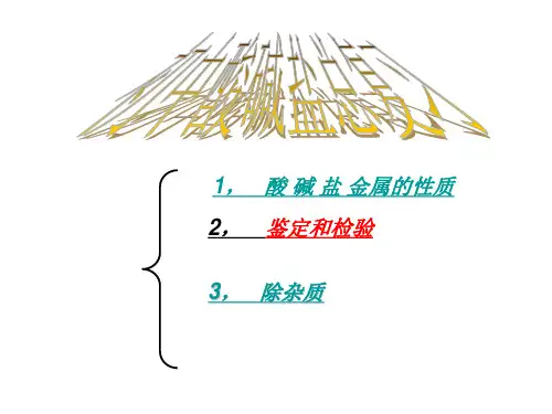 初中化学酸碱盐复习课件