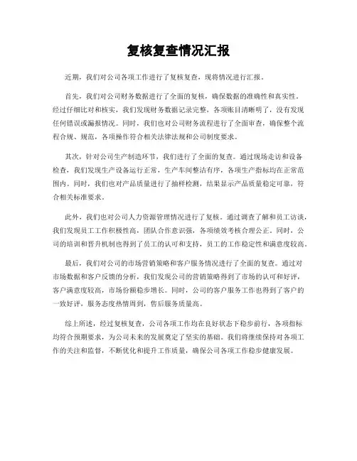 复核复查情况汇报