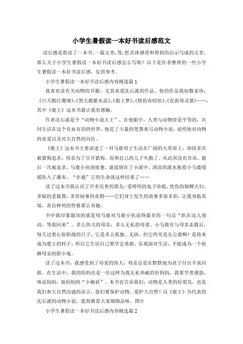 小学生暑假读一本好书读后感范文