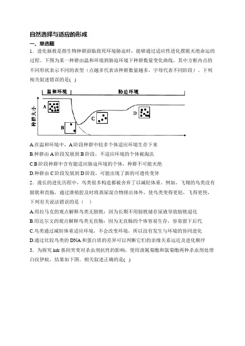 高考生物一轮复习自然选择与适应的形成