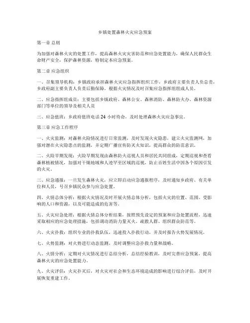 乡镇处置森林火灾应急预案