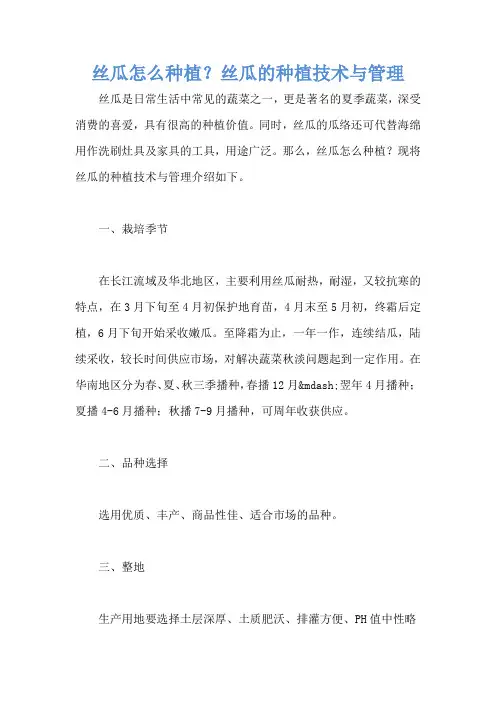 丝瓜怎么种植？丝瓜的种植技术与管理