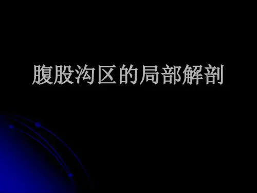 腹股沟区解剖详解