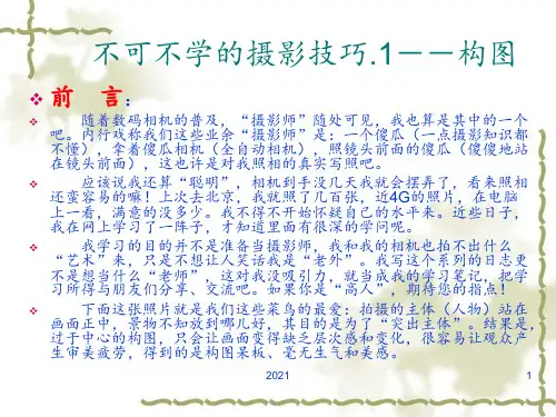 摄影构图(图文并茂版)PPT课件