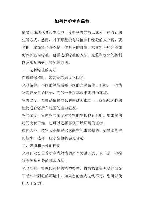 如何养护室内绿植