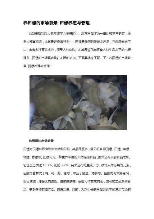 养田螺的市场前景 田螺养殖与管理