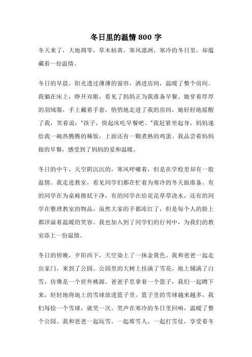 冬日里的温情800字