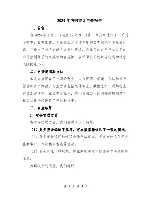 2024年内部审计自查报告