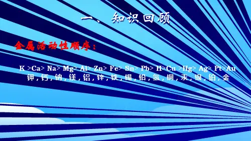 沪科版化学高一上册-2.3 氯、溴、碘化学活泼性的比较 课件 ppt