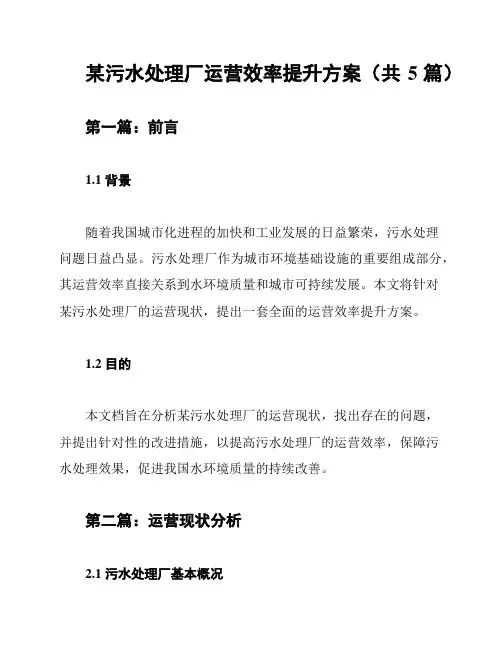 某污水处理厂运营效率提升方案(共5篇)