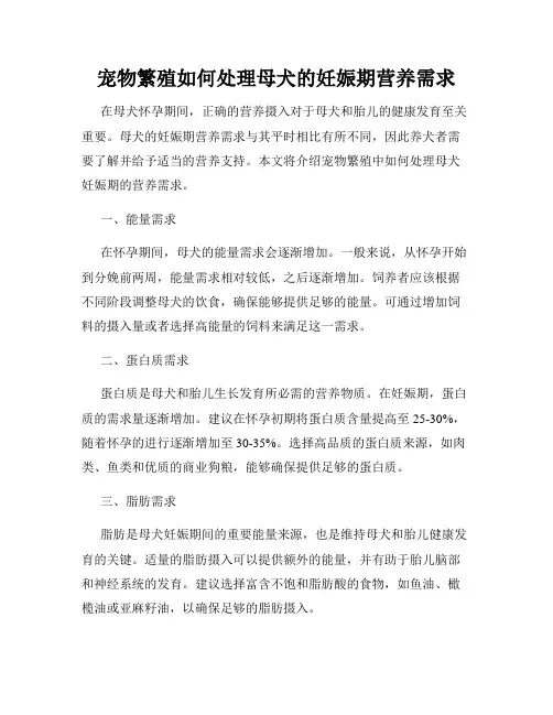 宠物繁殖如何处理母犬的妊娠期营养需求