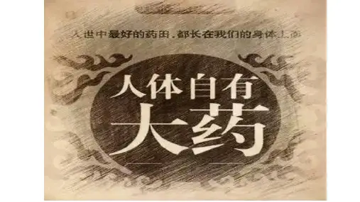 3、人体自愈力