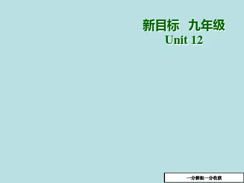 九年级英语-you’_re_supposed_to_shake_hands课件2(九年级英语)AUAHwK