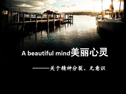 A beautiful mind美丽心灵