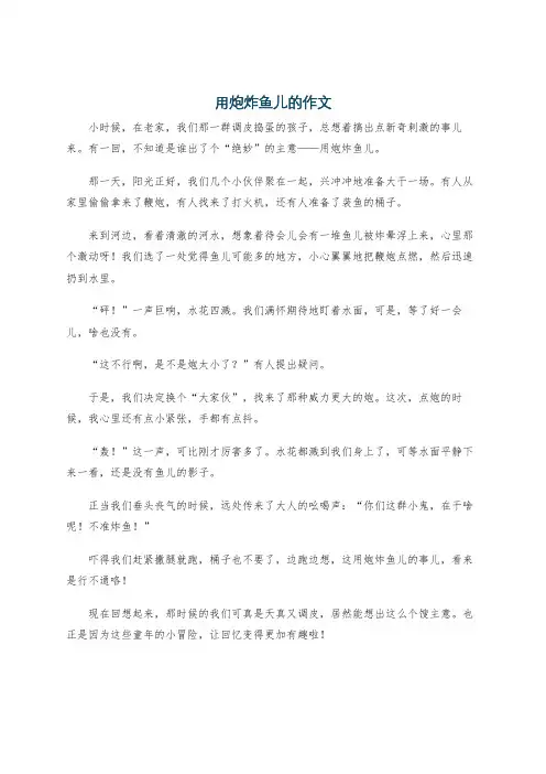 用炮炸鱼儿的作文