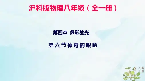 神奇的眼睛课件沪科版物理八年级