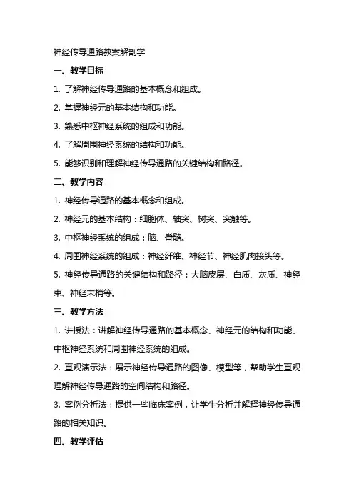 神经传导通路教案解剖学