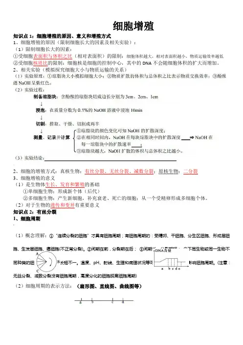 细胞增殖一轮复习教学案(教师版)