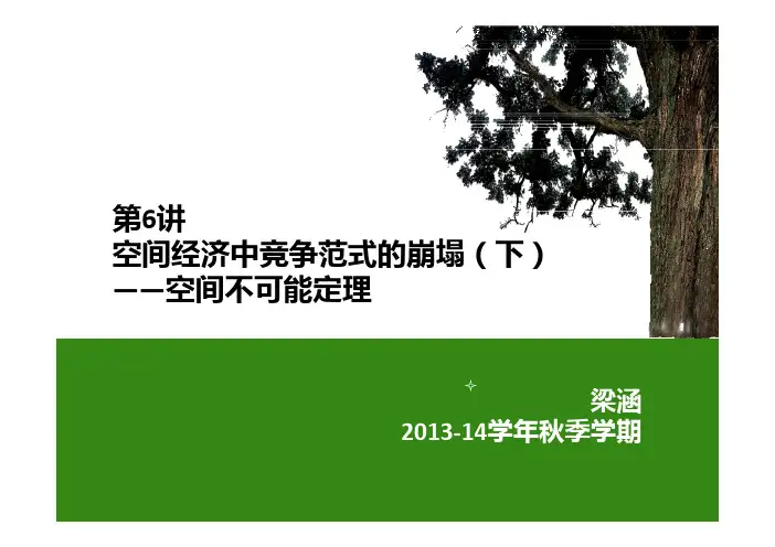 第6讲空间经济中竞争范式的崩塌(下)——空间不可能定理