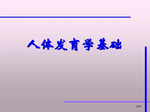 发育学