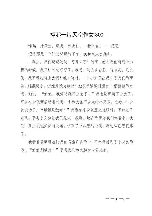 撑起一片天空作文800