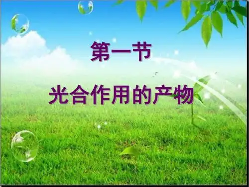 冀少版八年级生物上册第3章第1节光合作用的产物课件(共26张PPT)