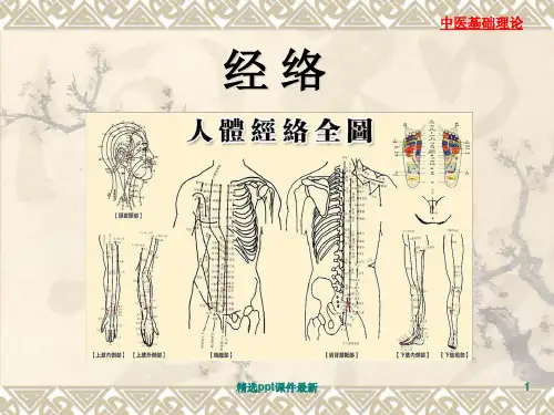 中医经络ppt课件