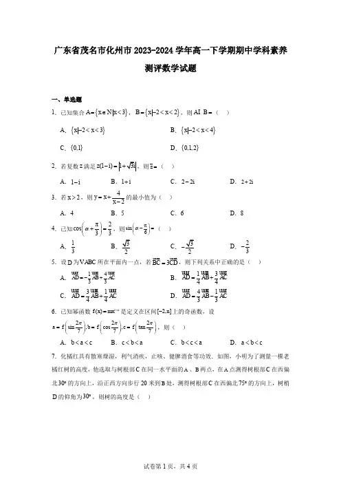 广东省茂名市化州市2023-2024学年高一下学期期中学科素养测评数学试题