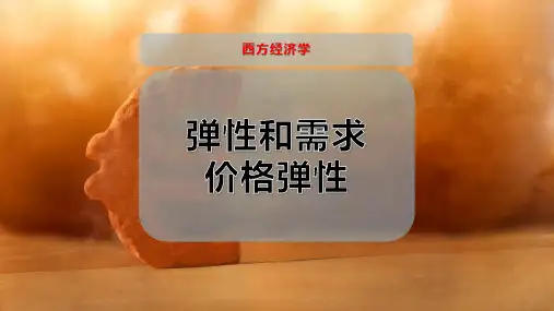 弹性和需求价格弹性PPT模板