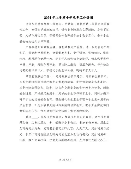 2024年上学期小学总务工作计划（二篇）