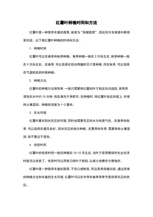 红薯叶种植时间和方法