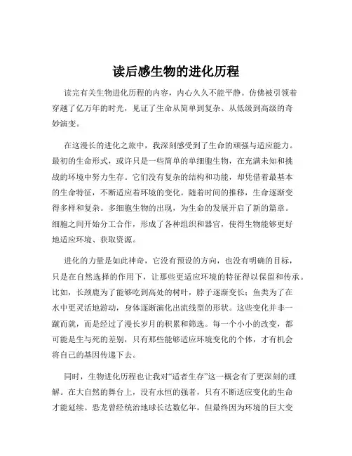读后感生物的进化历程