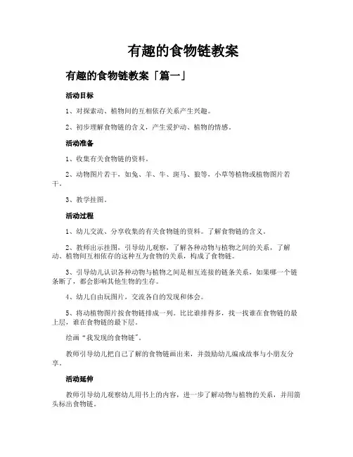 有趣的食物链教案