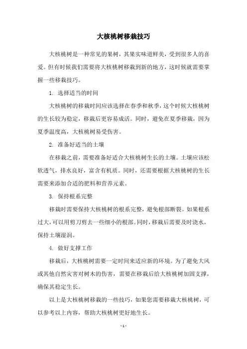 大核桃树移栽技巧