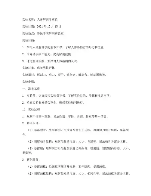 鲁医解剖实验报告