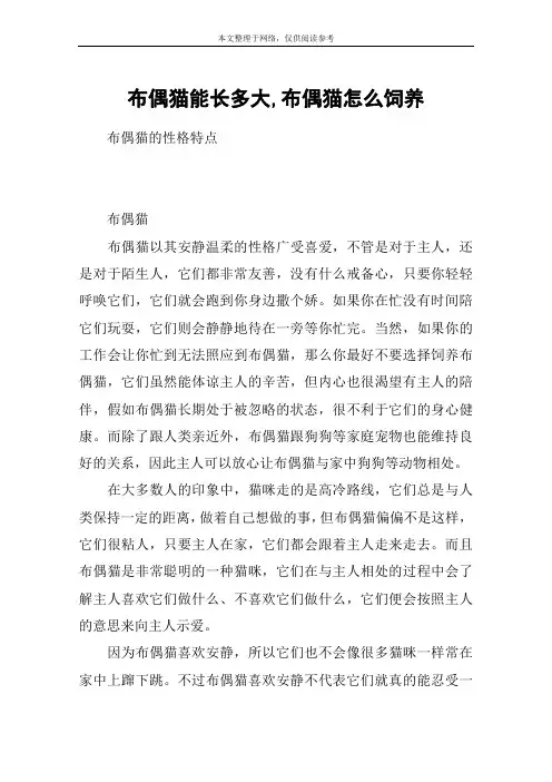 布偶猫能长多大,布偶猫怎么饲养