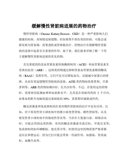 缓解慢性肾脏病进展的药物治疗