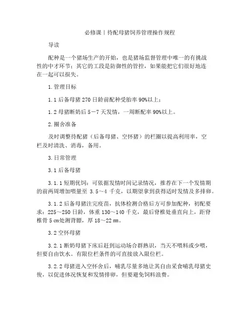 必修课｜待配母猪饲养管理操作规程