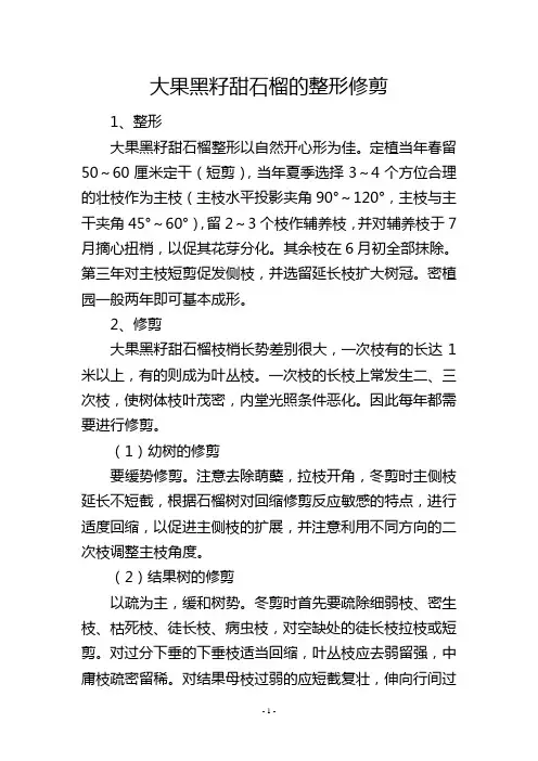 大果黑籽甜石榴的整形修剪