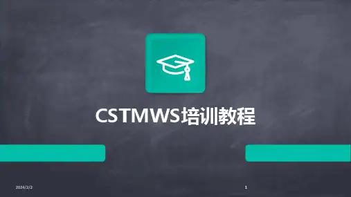 2024版年度CSTMWS培训教程