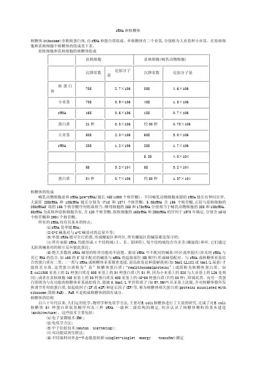 rRNA和核糖体