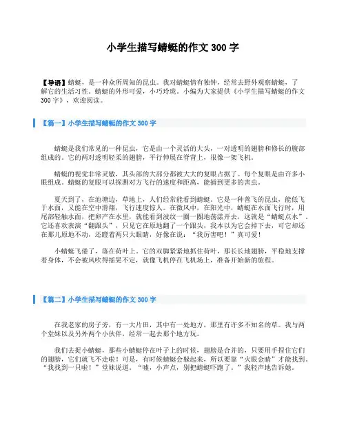 小学生描写蜻蜓的作文300字