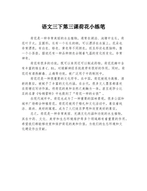 语文三下第三课荷花小练笔