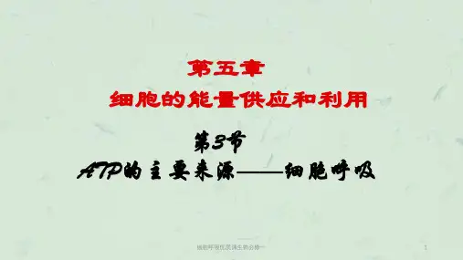 细胞呼吸优质课生物必修一课件