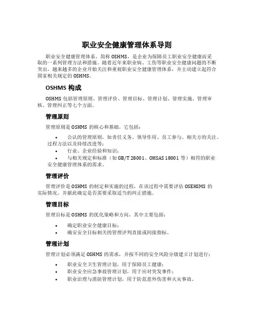职业安全健康管理体系导则