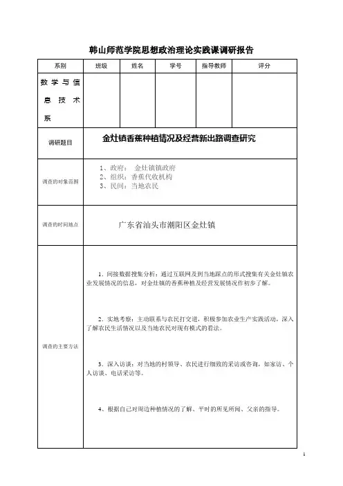 金灶镇香蕉种植情况及经营新出路调查研究1