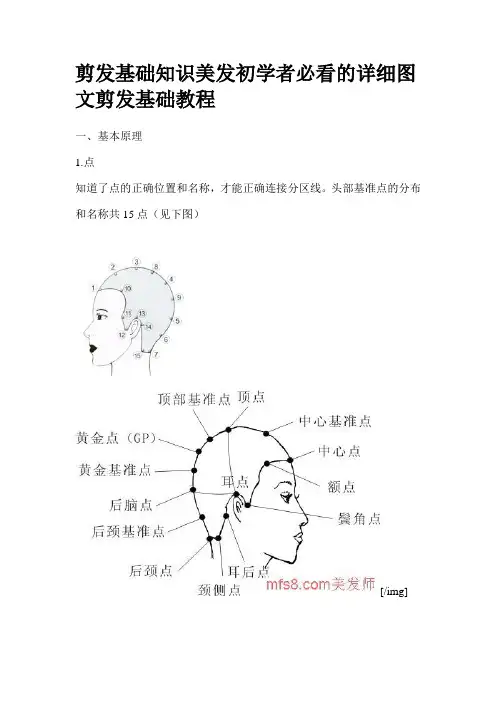 剪发基础知识美发初学者必看的详细剪发基础教程