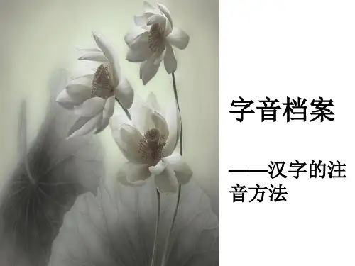 高中语文人教版(选修)：汉字的注音方法
