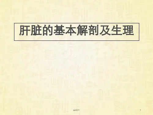 肝脏解剖及功能  ppt课件