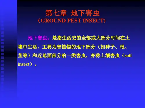 第七章 地下害虫 (PPTminimizer)